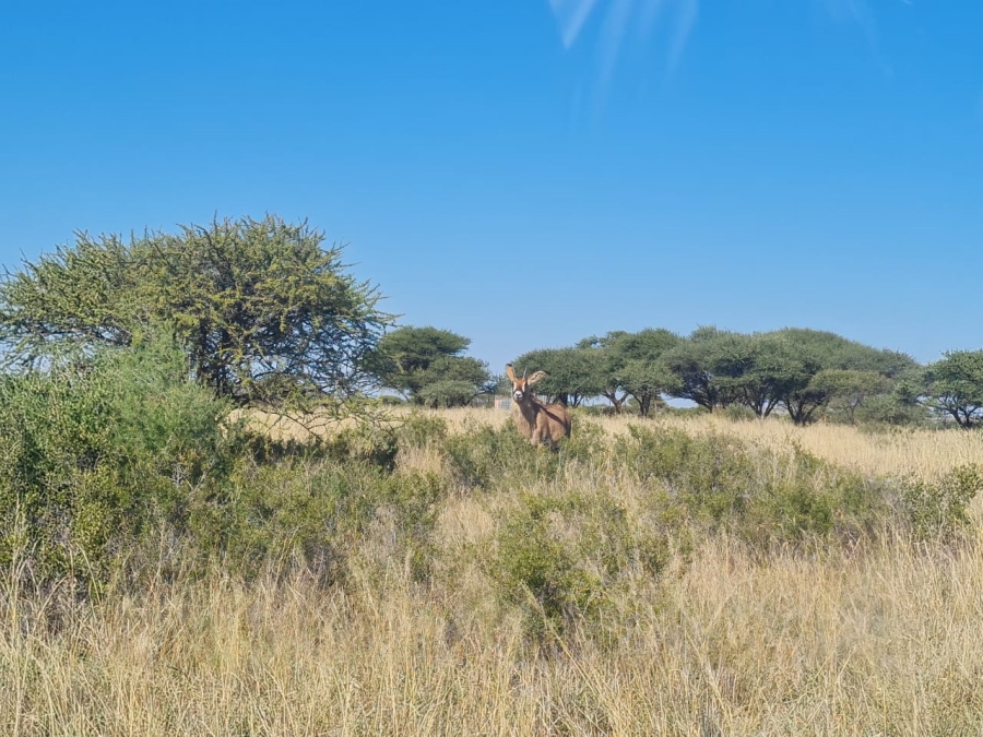 Commercial Property for Sale in Boshof Rural Free State